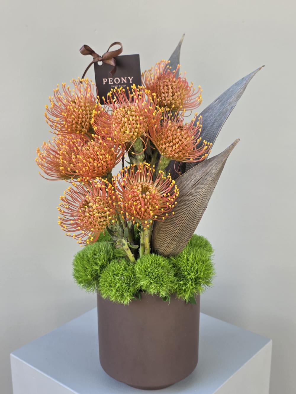 Sunny Coral Radiance